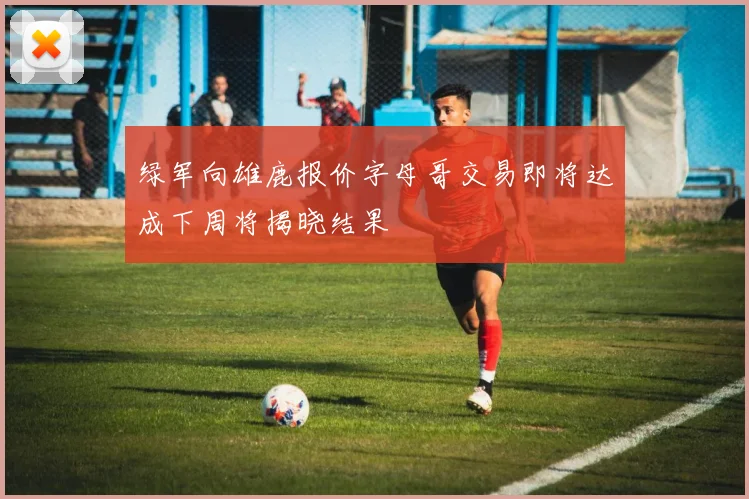 绿军向雄鹿报价字母哥交易即将达成下周将揭晓结果