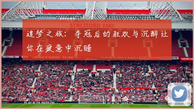 追梦之旅：夺冠后的狂欢与沉醉让你在疲惫中沉睡